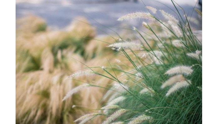 Hotel Nissi Park poza 15