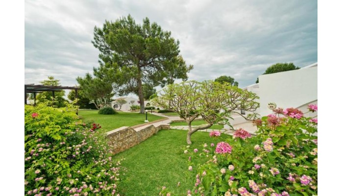 The Olive Tree Hotel poza 17