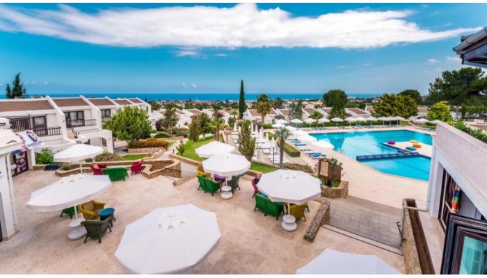 The Olive Tree Hotel poza 10