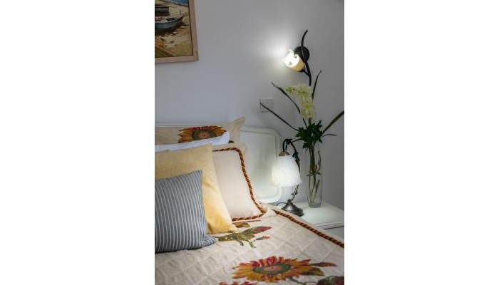 Hotel Edem Traditional House poza 3