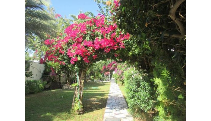 Tsialis Hotel Apartments poza 22