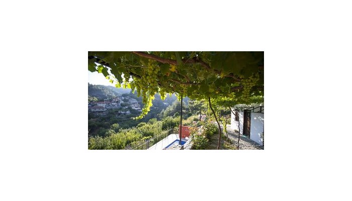 Ambelikos Traditional Agrohotel poza 0