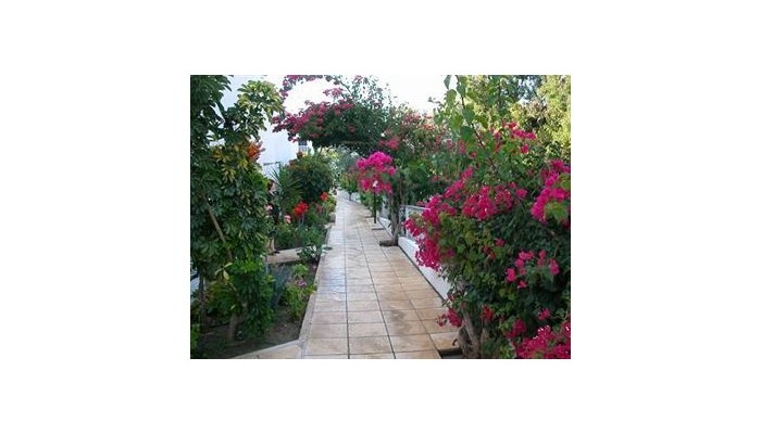 Bougainvillea Hotel Apartments poza 4