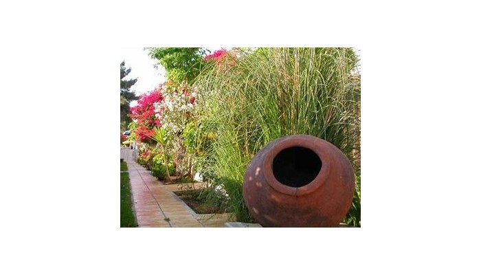 Bougainvillea Hotel Apartments poza 8